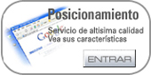 Posicionamiento Web
